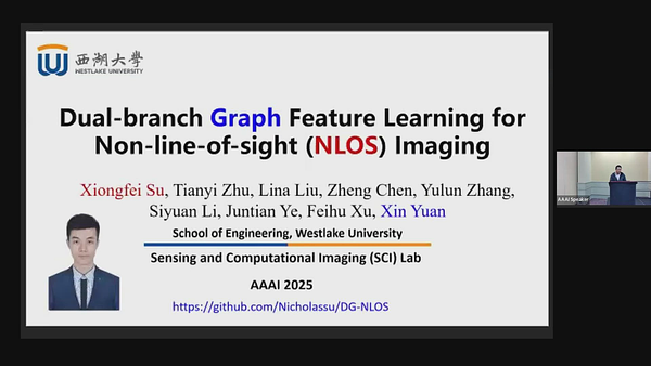 Dual-branch Graph Feature Learning for NLOS Imaging | Underline