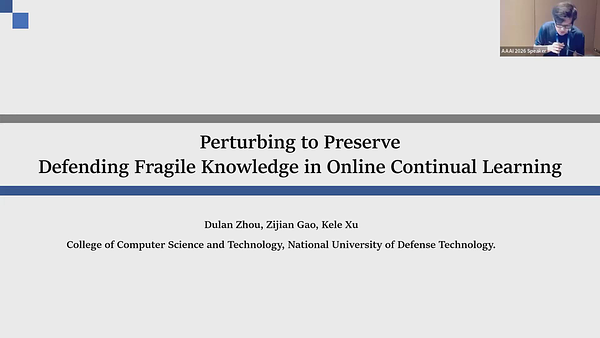 Perturbing to Preserve: Defending Fragile Knowledge in Online Continual ...
