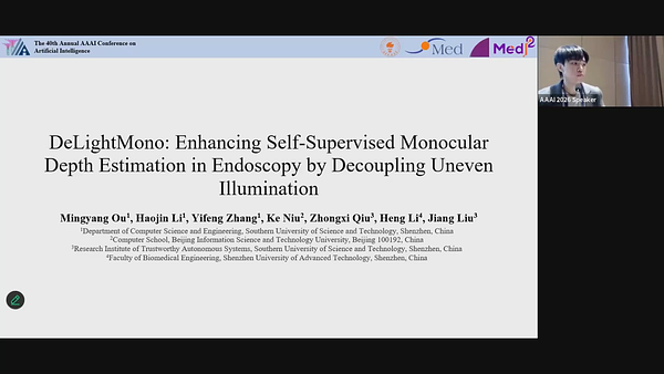 DeLightMono: Enhancing Self-Supervised Monocular Depth Estimation in ...