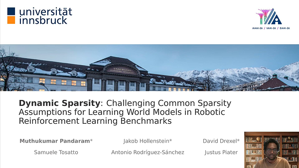 Dynamic Sparsity: Challenging Common Sparsity Assumptions for Learning ...