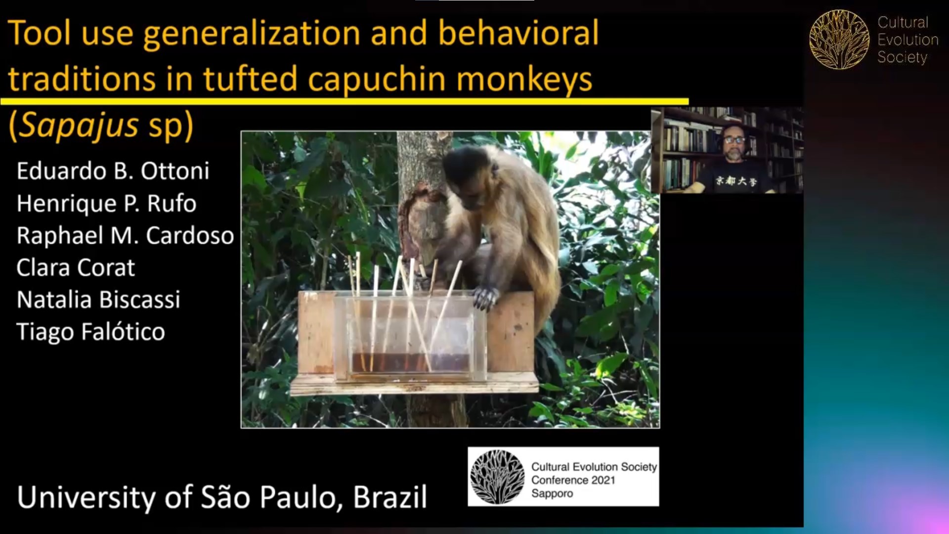 Monkey  São Paulo SP