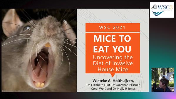 Invasive Mice Mice to eat you: uncovering the diet of invasive house mice | Underline