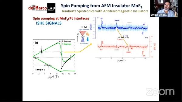 Coherent Sub-Terahertz Spin Pumping from an Insulating Antiferromagnet ...