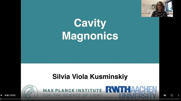 Underline | Cavity Magnonics