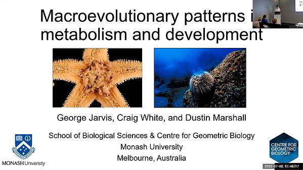 Macroevolutionary patterns in metabolism and development | Underline