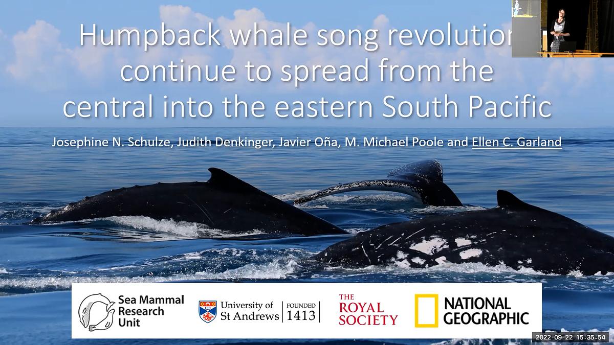 Underline Humpback whale song revolutions continue to spread from the(02)