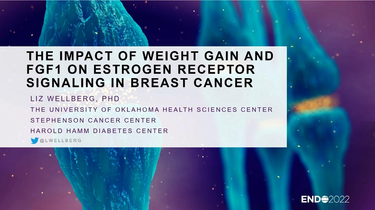 Underline Impact of Diet and ObesityModulated Signaling in Breast