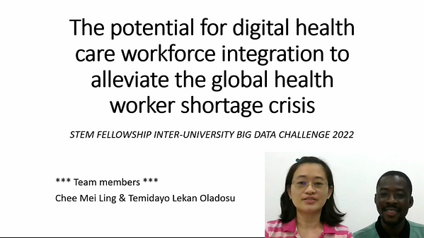 The potential for digital health careworkforce integration to alleviate ...