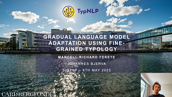 Gradual Language Model Adaptation Using Fine-Grained Typology | Underline