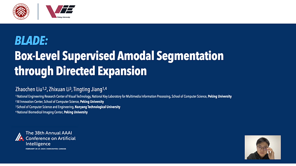 BLADE: Box-Level Supervised Amodal Segmentation through Directed ...