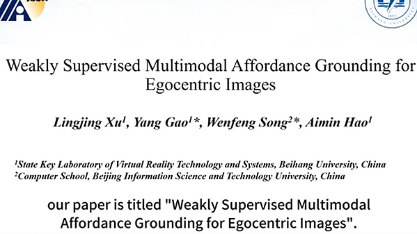 Underline | Weakly Supervised Multimodal Affordance Grounding for 