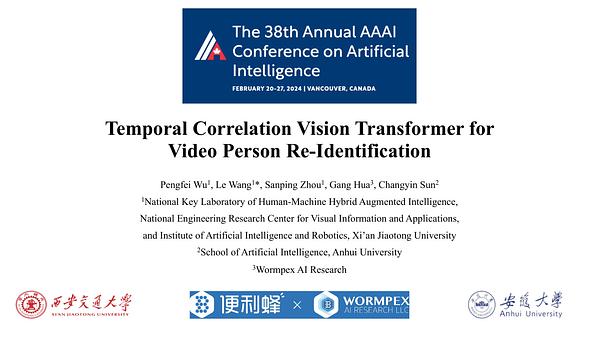 Temporal Correlation Vision Transformer for Video Person Re ...